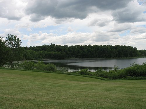 Property photo 19 - REAL ESTATE AUCTION, 163+/- Acres offered in 8 Tracts
